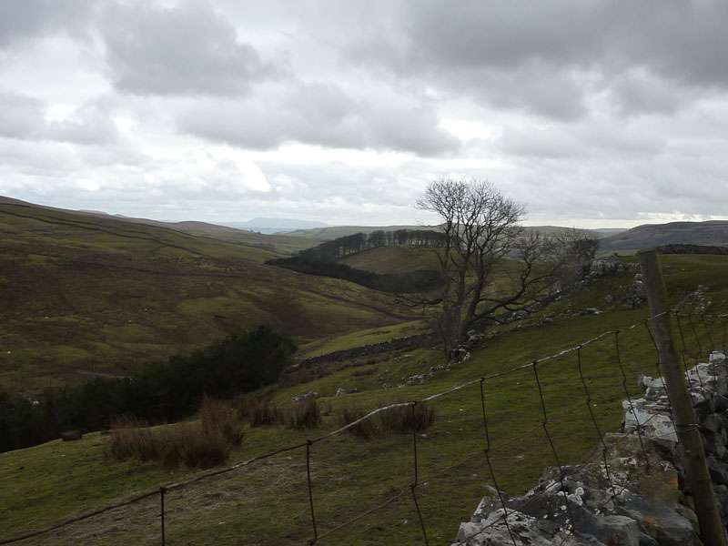 Towards pendle Hill